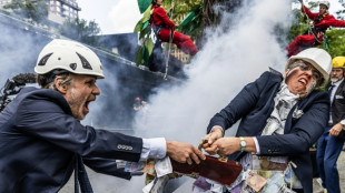 Des milliers de manifestants pour le climat dans un quartier d'affaires à Amsterdam