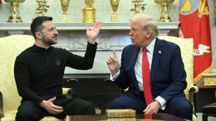 Trump and Zelensky's stormy ties: From impeachment to truce proposal