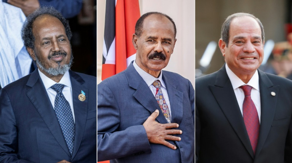 Leaders of Egypt, Eritrea, Somalia meet amid regional tensions