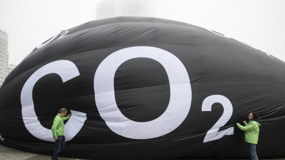 ¿La COP28 puede salvar los controvertidos créditos carbono?