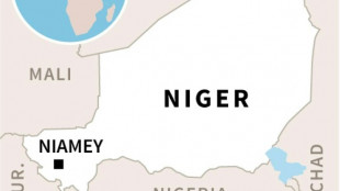 Niger to set up protection force for 'strategic' sites