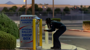 Arizona to ask court to rule on voting rights 