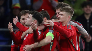 Wales sink Finland to book play-off final clash with Poland