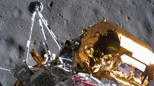 US Moon lander 'permanently' asleep after historic landing: company