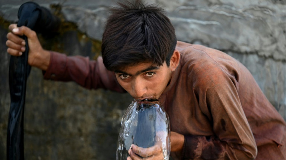 Ante la canícula, la importancia de saber cuánto calor puede soportar el ser humano