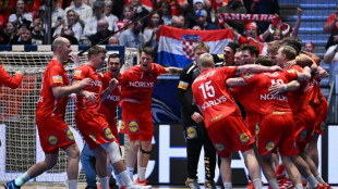 Hand/Mondial-2025: le Danemark toujours plus haut