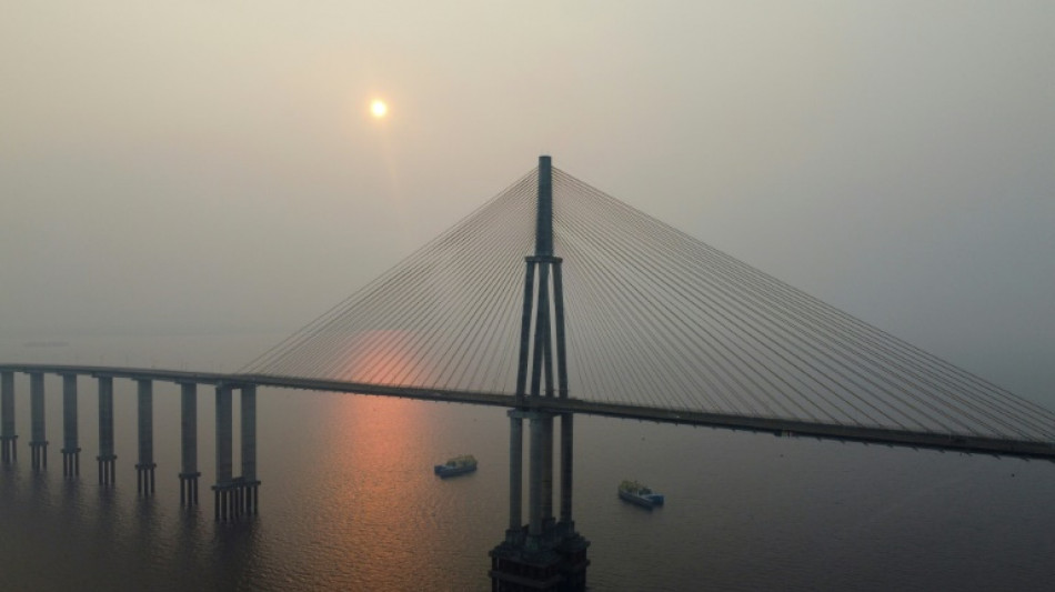 Déforestation: la capitale de l'Amazonie brésilienne noyée par la fumée des incendies