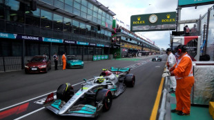 Hamilton tames Mercedes 'rattlesnake' to qualify fifth