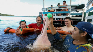 Handicap: des dauphins d'Amazonie s'invitent dans une thérapie