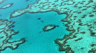 UN weighs Great Barrier Reef reprieve for Australia