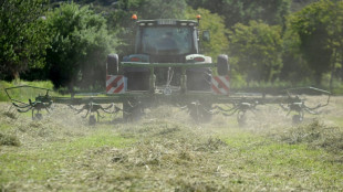 France: les microplastiques omniprésents dans les sols, selon l'Ademe