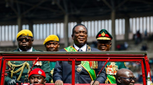 Zimbabwe moves army chief to sports docket