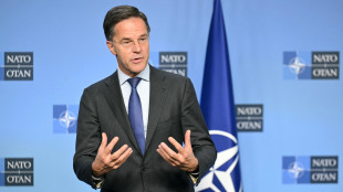 Rutte, percorso dell'Ucraina verso la Nato è irreversibile