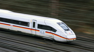 Bahn verspricht bei EM-Sieg Deutschlands ein Jahr kostenlose Bahncard 25