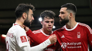 Man Utd boss Ten Hag furious with Fulham over Fernandes post