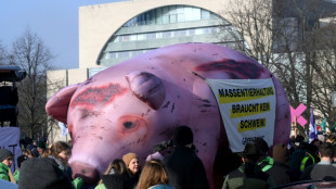 Mehrere tausend Menschen demonstrieren in Berlin für neue Agrarpolitik