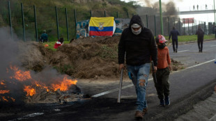 Manifestations en Equateur: arrestation du chef de la plus grande organisation indigène