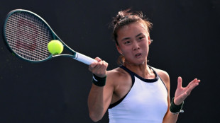 Yuan beats Wang in Austin final to capture first WTA title