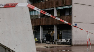 Un ataque con una granada deja 15 heridos en un bar de Francia