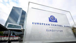 ECB holds interest rates for first time in over a year