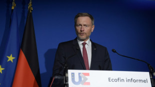 Lindner bekräftigt Warnung vor Ausschluss Russlands aus Swift-System