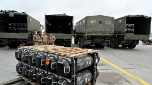 Javelin anti-tank missile, symbol of Ukraine's resistance