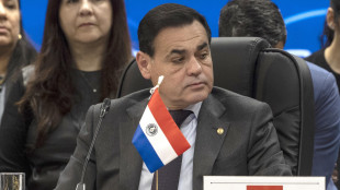 Paraguay, 'il Mercosur apra a Paesi con la stessa vocazione'