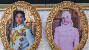 Leaders and blue bloods descend on Brunei for royal wedding climax