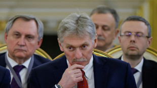Le Kremlin veut "comprendre d'abord" ce qu'est le sommet de la paix évoqué par l'Ukraine