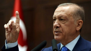 Turkey's Erdogan conditions support for Nordic nations' NATO bids