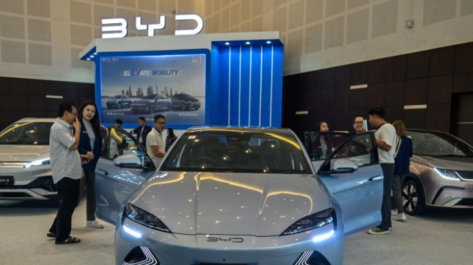 BYD says to build second EU factory despite EV slowdown