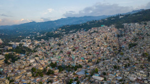 Haiti's colonial debt burden sparks debate -- but official silence