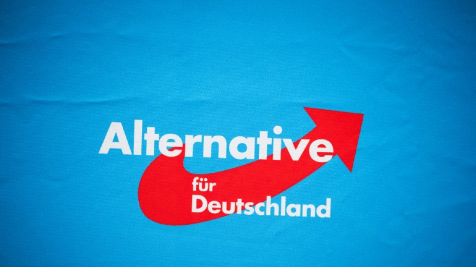 AfD feiert Wahlsieg der Rechten in Italien