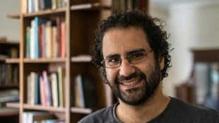 Alaa Abdel Fattah "sous traitement médical" selon l'Egypte