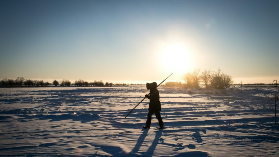 Sink to source: Arctic tundra emitting more carbon than it absorbs