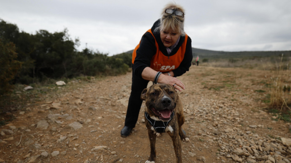 Con Fido è sincronia di cervelli, merito di sguardi e carezze