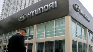 Hyundai invertirá USD 21.000 millones en EEUU, anuncia su director