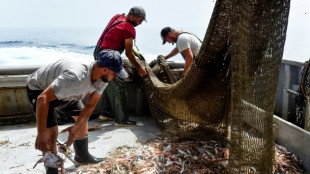 Pêche: des populations de poissons en panne de renouvellement