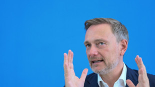 Lindner fordert "Null Euro" für ausreisepflichtige Flüchtlinge