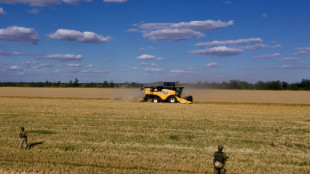 El encarecimiento del gas en Europa puede provocar escasez de fertilizantes