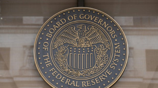 US Fed on track for a 'soft landing': senior offical