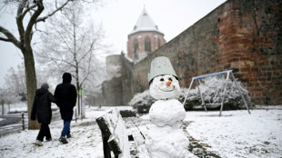 Kinder bauen Schneemann auf Gleisen: Notbremsung von Zug in Baden-Württemberg