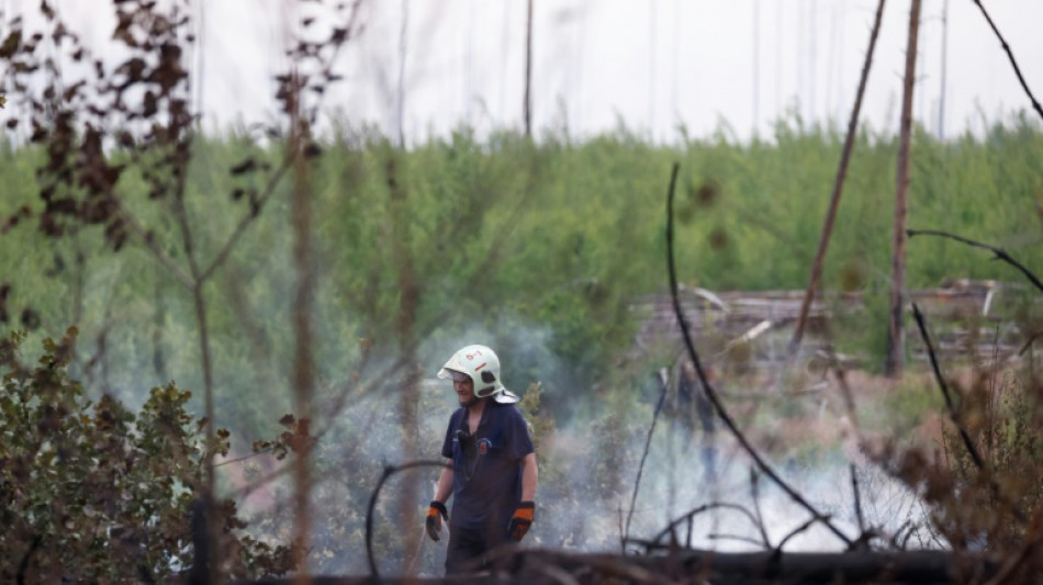 Feuerwehrexperte beklagt zu komplizierte Verfahren im Kampf gegen Waldbrände