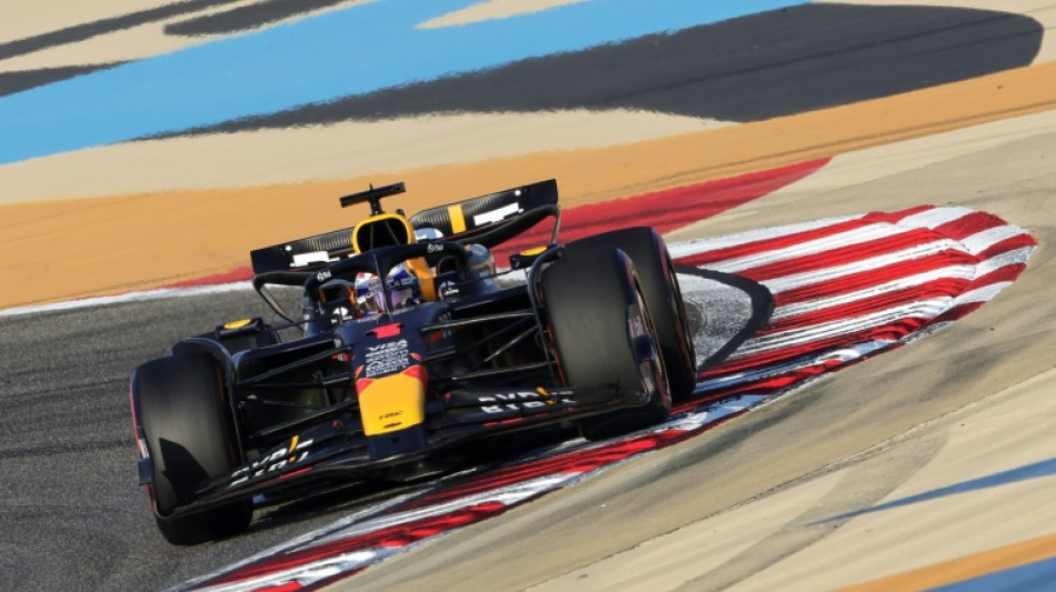 Verstappen on pole in Bahrain in boost to Red Bull and Horner