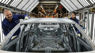 German economy shrank in 2023 on energy, export woes