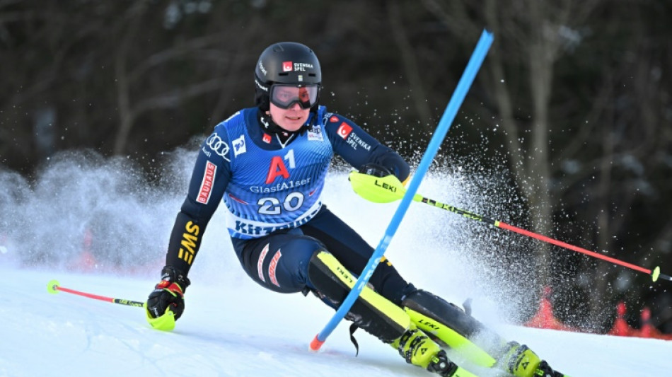 Sweden's Jakobsen in Kitzbuehel slalom pole