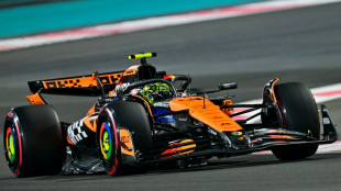 Norris heads McLaren 1-2 for pole in season-closing Abu Dhabi Grand Prix