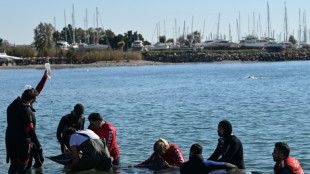 Una joven ballena herida encalla en una playa cerca de Atenas