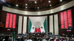 Autoridade eleitoral confirma ampla maioria legislativa para situação no México