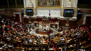 Pouvoir d'achat: clap de fin à l'Assemblée, avant un dernier vote du Sénat